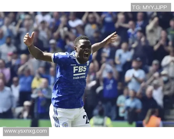 2019年英超精彩对决埃弗顿主场迎战莱斯特城全场回顾与分析 2019年英超精彩对决埃弗顿主场迎战莱斯特城全场回顾与分析