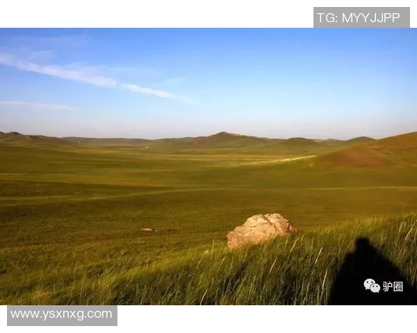 谢什科的传奇人生与不屈精神探讨:从足球场到人生舞台的启示 谢什科的传奇人生与不屈精神探讨:从足球场到人生舞台的启示