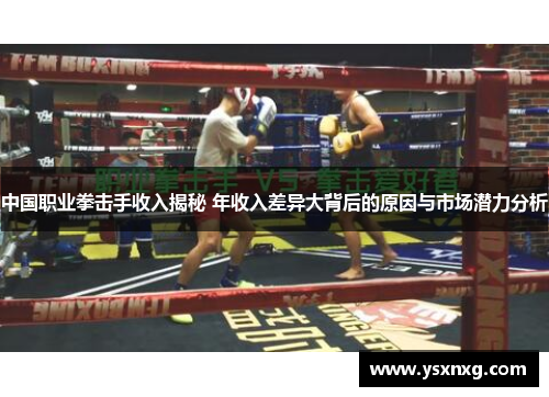 中国职业拳击手收入揭秘 年收入差异大背后的原因与市场潜力分析