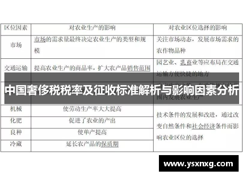 中国奢侈税税率及征收标准解析与影响因素分析