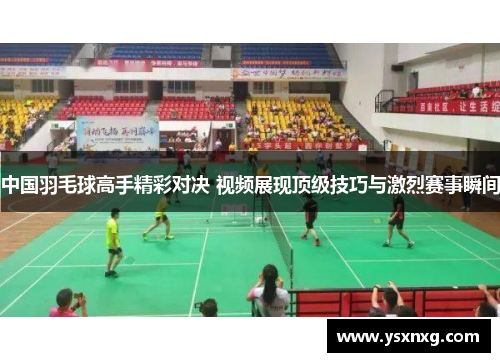 中国羽毛球高手精彩对决 视频展现顶级技巧与激烈赛事瞬间