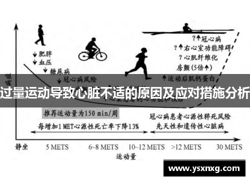 过量运动导致心脏不适的原因及应对措施分析