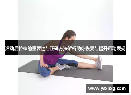 运动后拉伸的重要性与正确方法解析助你恢复与提升运动表现