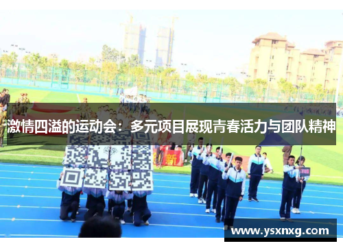 激情四溢的运动会：多元项目展现青春活力与团队精神