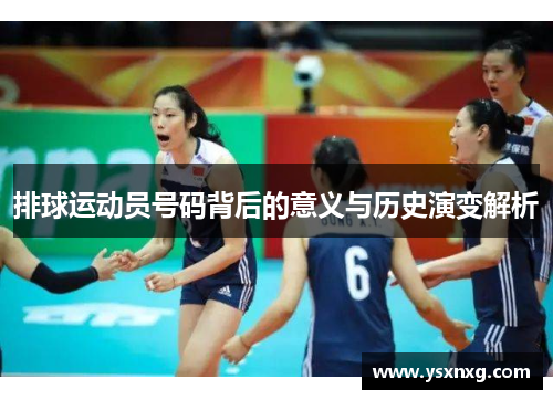 排球运动员号码背后的意义与历史演变解析