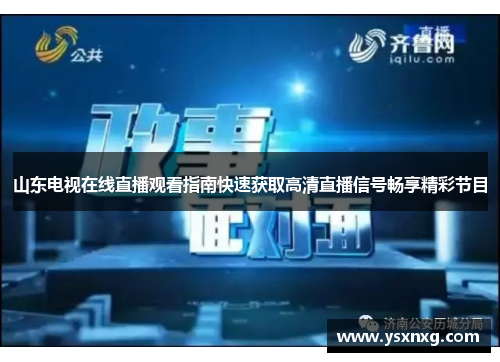 山东电视在线直播观看指南快速获取高清直播信号畅享精彩节目