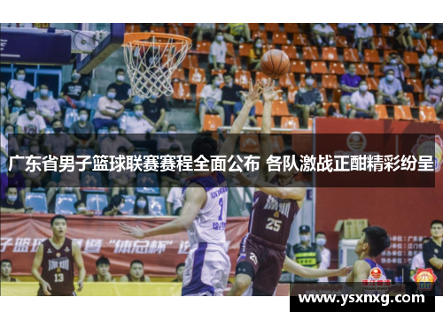 广东省男子篮球联赛赛程全面公布 各队激战正酣精彩纷呈
