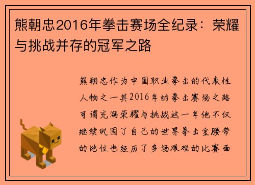 熊朝忠2016年拳击赛场全纪录：荣耀与挑战并存的冠军之路