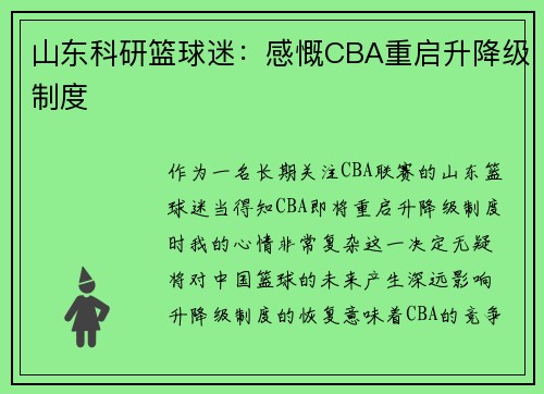 山东科研篮球迷：感慨CBA重启升降级制度